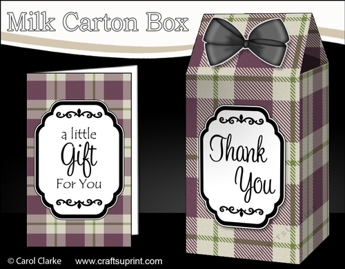 3D Tartan Milk Carton Treat Box Mini Kit