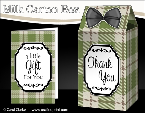 3D Tartan Milk Carton Treat Box Mini Kit