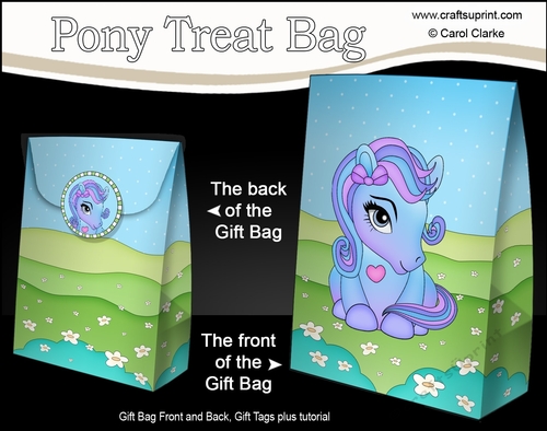 3D Gift Bag Mini Kit - Cute Little Pony Carousel