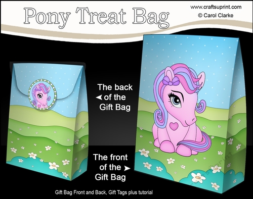 3D Gift Bag Mini Kit - Cute Little Pony Princess