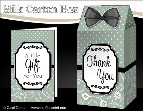 3D Spots & Flowers Milk Carton Treat Box Mini Kit
