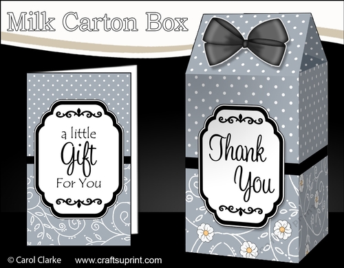 3D Spots & Flowers Milk Carton Treat Box Mini Kit