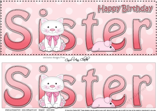Large DL Happy Birthday SISTER 3D decoupage with Cute Cat