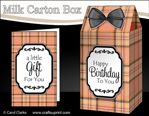 3D Tartan Milk Carton Treat Box Mini Kit