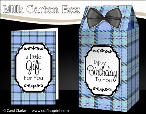 3D Tartan Milk Carton Treat Box Mini Kit
