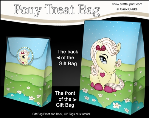 3D Gift Bag Mini Kit - Cute Little Pony Cherryade