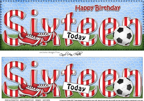 Large DL Happy Birthday SIXTEEN TODAY 3D decoupage