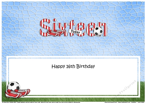 Large DL Happy Birthday SIXTEEN TODAY insert