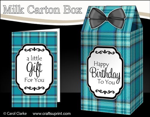 3D Tartan Milk Carton Treat Box Mini Kit
