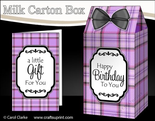 3D Tartan Milk Carton Treat Box Mini Kit