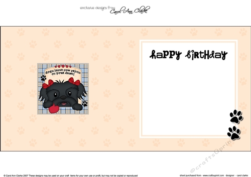 Square landscape insert - Dogs Leave Paw Prints - Shih Tzu Dog Star