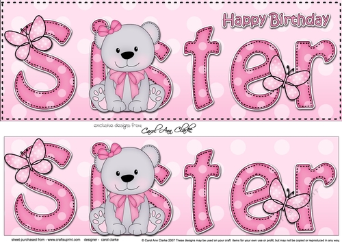 Large DL Happy Birthday SISTER 3D decoupage with Livvy Bear