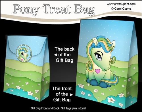 3D Gift Bag Mini Kit - Cute Little Pony Summer Breeze