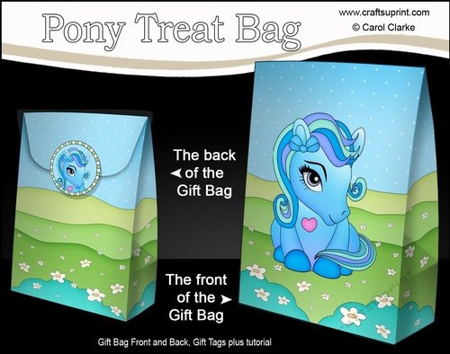 3D Gift Bag Mini Kit - Cute Little Pony Lightning