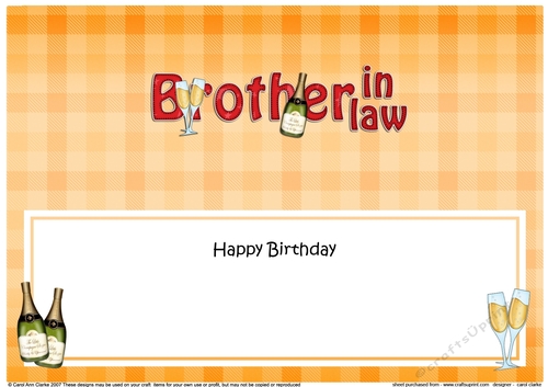 Large DL Happy Birthday BROTHER IN LAW insert with Champagne