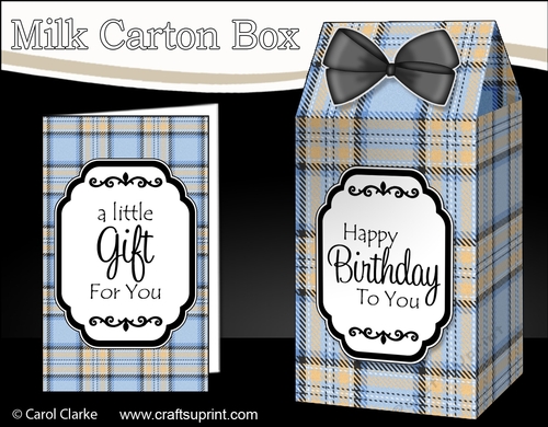 3D Tartan Milk Carton Treat Box Mini Kit