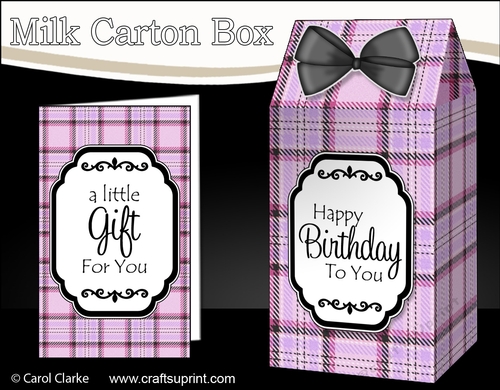 3D Tartan Milk Carton Treat Box Mini Kit
