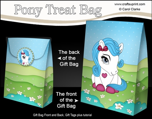 3D Gift Bag Mini Kit - Cute Little Pony Snowflake