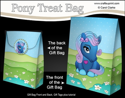 3D Gift Bag Mini Kit - Cute Little Pony Twinkle