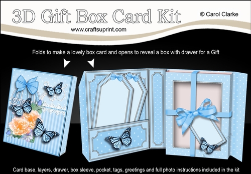 3D Gift Box Card Kit 3d Decoupage - Butterfly & Flowers Birdcage