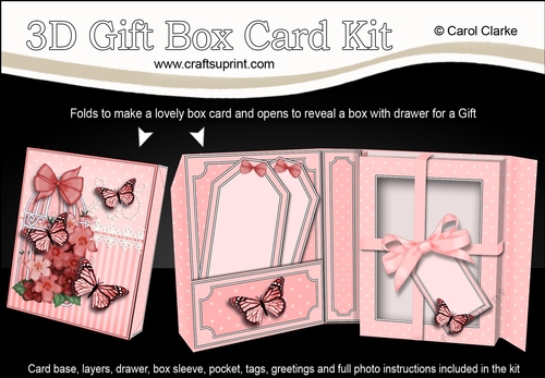 3D Gift Box Card Kit 3d Decoupage - Butterfly & Flowers Birdcage