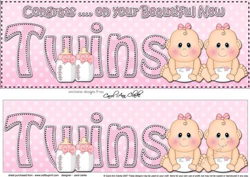 Large DL CONGRATULATIONS ... ON YOUR BEAUTIFUL TWINS 3D decoupage