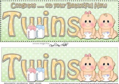 Large DL CONGRATULATIONS ... ON YOUR BEAUTIFUL TWINS 3D decoupage