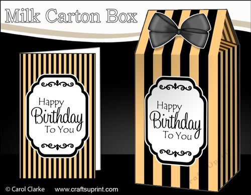 3D Candy Stripe Milk Carton Treat Box Mini Kit