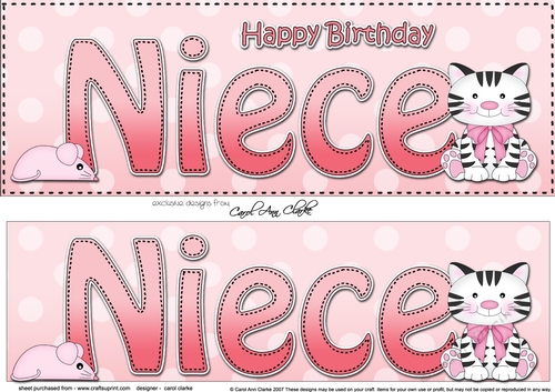 Large DL Happy Birthday NIECE 3D decoupage with Cute Cat