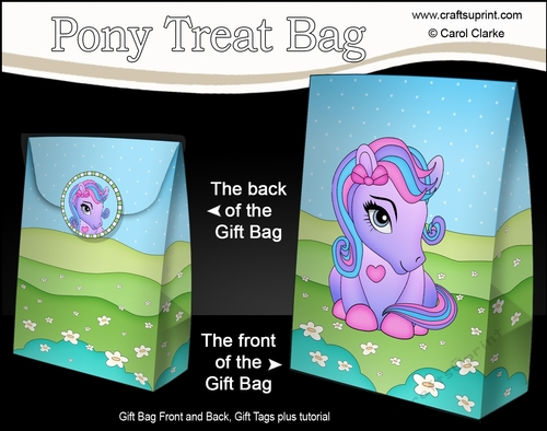 3D Gift Bag Mini Kit - Cute Little Pony Amethyst