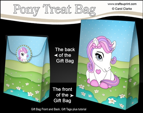 3D Gift Bag Mini Kit - Cute Little Pony Feather