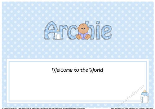 Large DL Welcome to the World ARCHIE insert