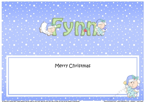 Large DL Merry Christmas FYNN insert