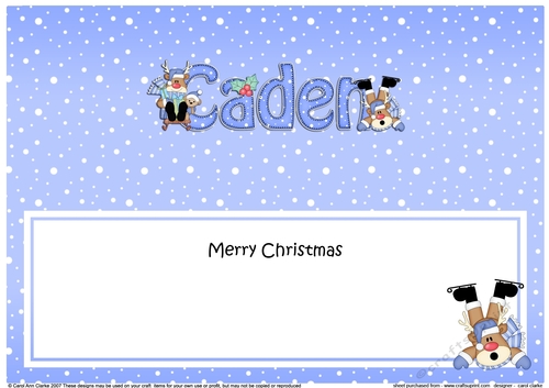 Large DL Merry Christmas CADEN insert
