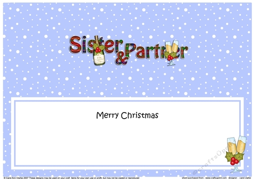 Large DL Merry Christmas SISTER & PARTNER insert with Champagne