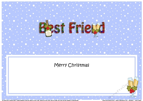 Large DL Merry Christmas BEST FRIEND insert with Champagne