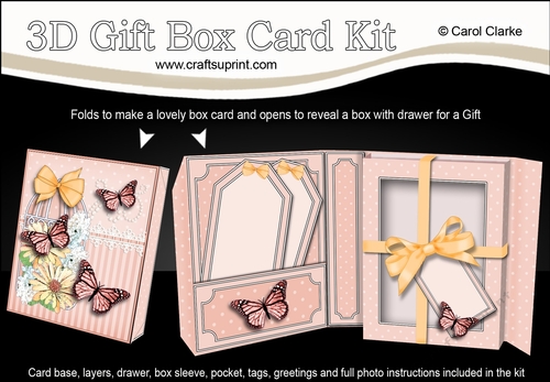 3D Gift Box Card Kit 3d Decoupage - Butterfly & Flowers Birdcage