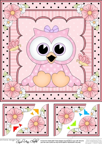 8 x 8 Cute Little Hoot Owl Scalloped Corner Topper  