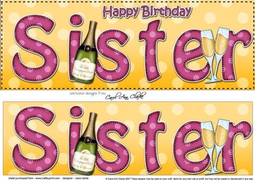 Large DL Happy Birthday SISTER 3D decoupage with Champagne