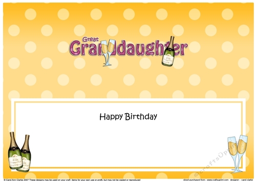 Large DL Happy Birthday GREAT GRANDDAUGHTER insert with Champagne