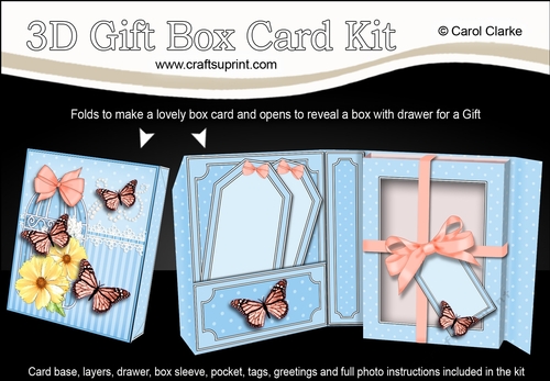 3D Gift Box Card Kit 3d Decoupage - Butterfly & Flowers Birdcage