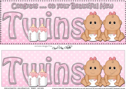 Large DL Ethnic New Baby Congratulations on Your Beautiful New ... TWINS 3D decoupage