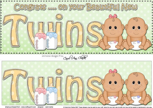 Large DL Ethnic New Baby Congratulations on Your Beautiful New ... TWINS 3D decoupage