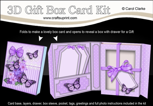 3D Gift Box Card Kit 3d Decoupage - Butterfly & Flowers Birdcage