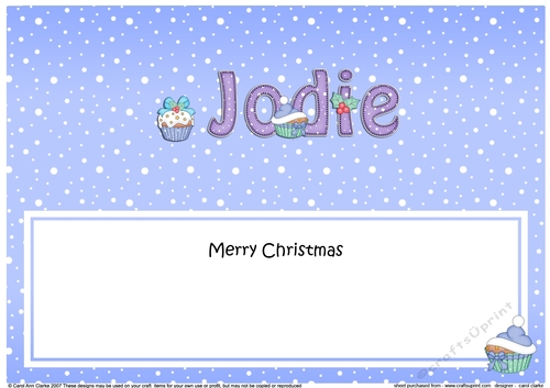 Large DL Merry Christmas JODIE insert