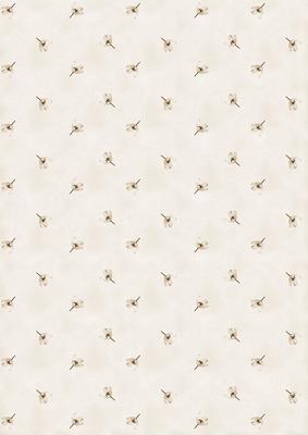 Spring Flowers and Lace Matching Backing Paper