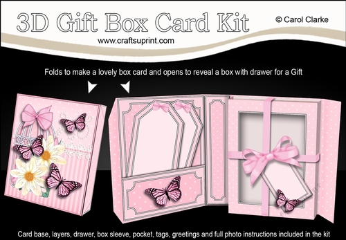 3D Gift Box Card Kit 3d Decoupage - Butterfly & Flowers Birdcage