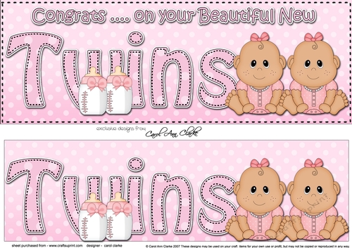 Large DL Ethnic New Baby Congratulations on Your Beautiful New ... TWINS 3D decoupage