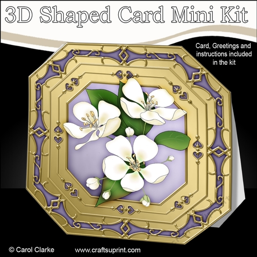 3D Shaped Octagonal Floral Card Kit - Pretty Apple Blossom