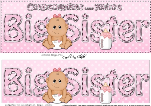 Large DL Ethnic New Baby Congratulations you are a ... BIG SISTER 3D decoupage